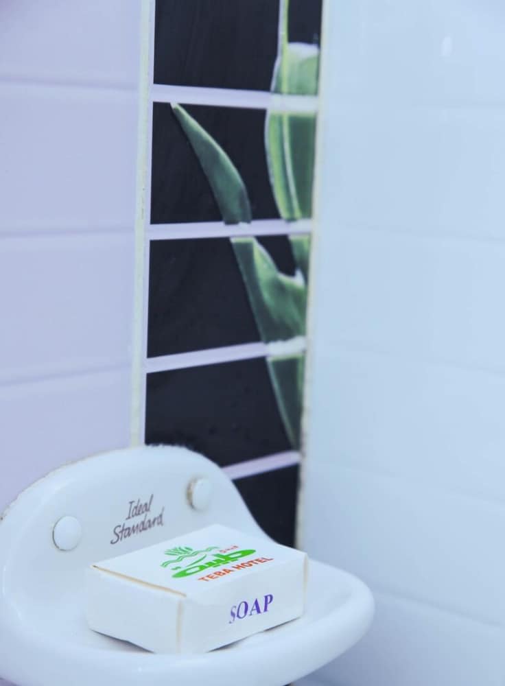 Фото Teba Hotel in Ras Elbar