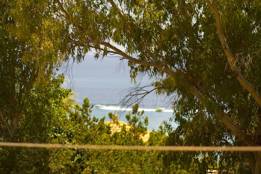 Фото Pyrgaraki Studios and Apartments