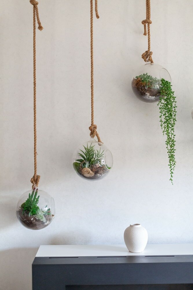 Фото The Ravenscourt Park Collection