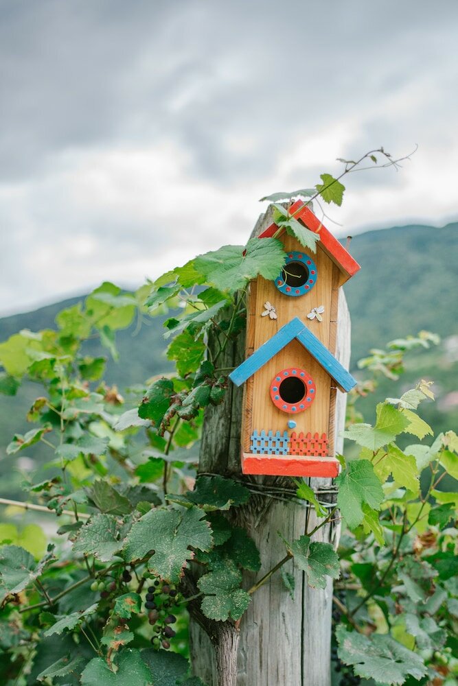 Фото Chateau Iveri