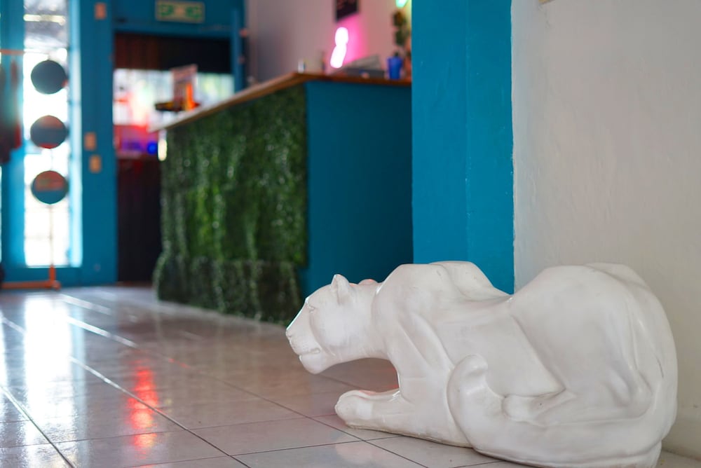 Фото Blue Pepper Hostel & Bar