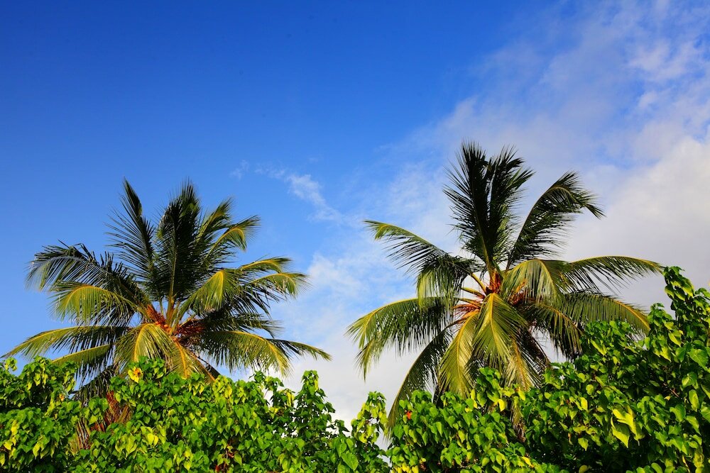 Фото Ocean Villa with pool & SPA