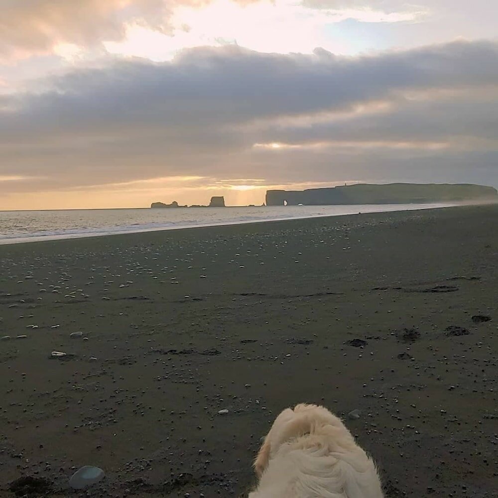 Фото Prestshús 2 Guesthouse