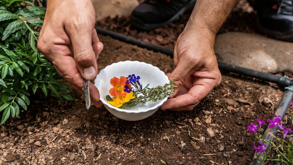 Фото Hotel Ecolife Tenerife
