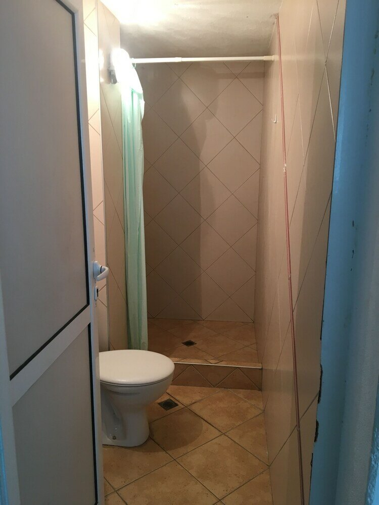 Фото Hair of the Dog Hostel