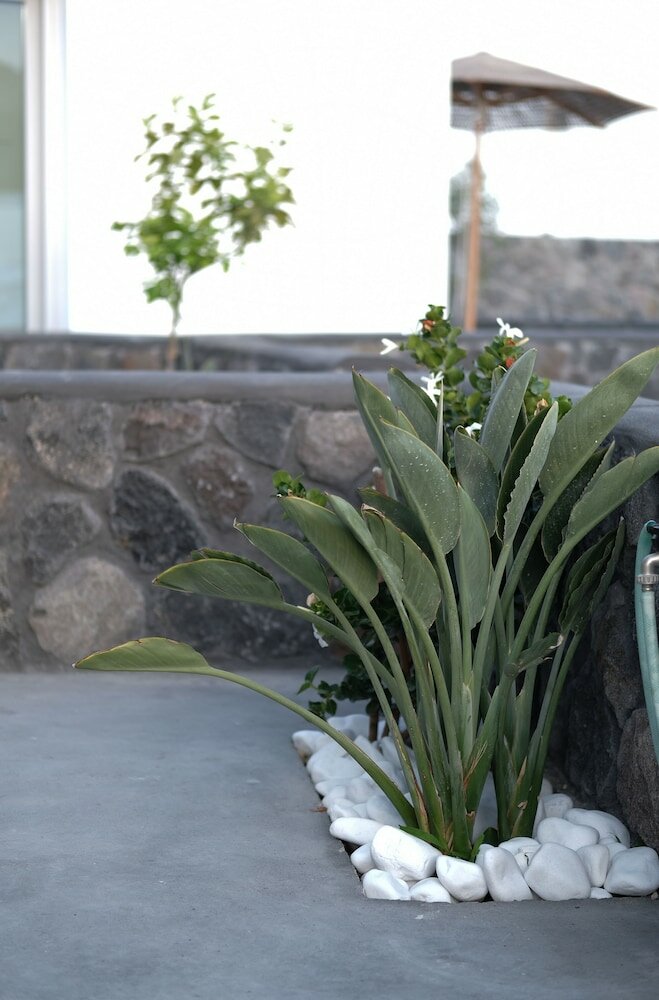 Фото Alafropetra Luxury Suites