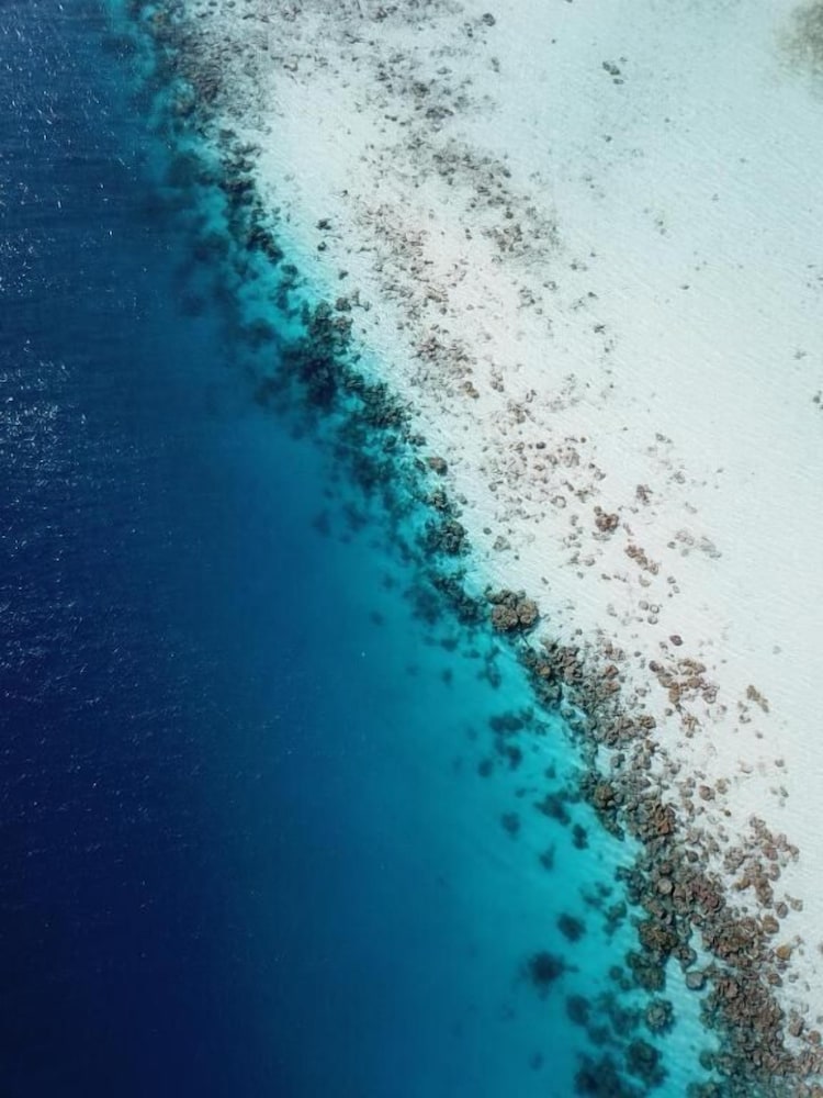 Фото One The Island