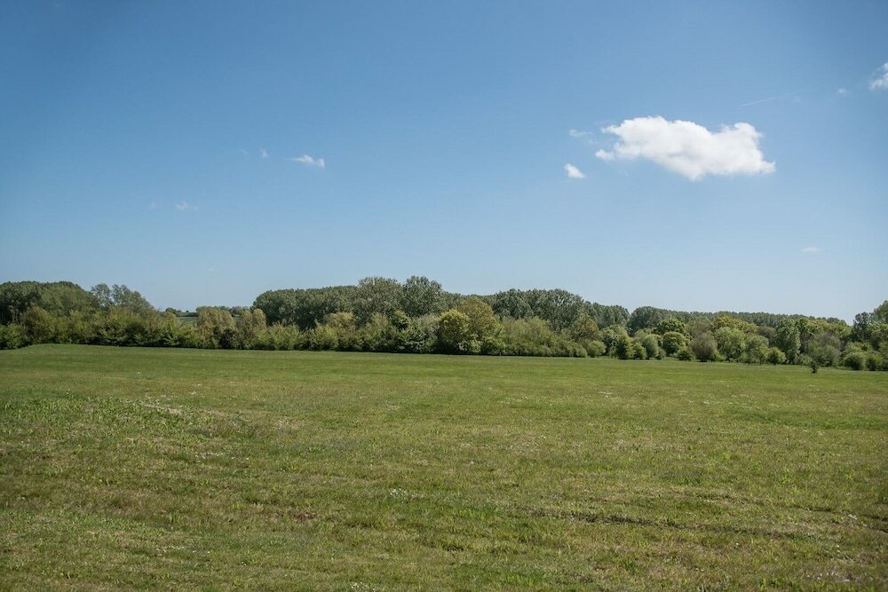 Фото Magnolia, Kingfishers