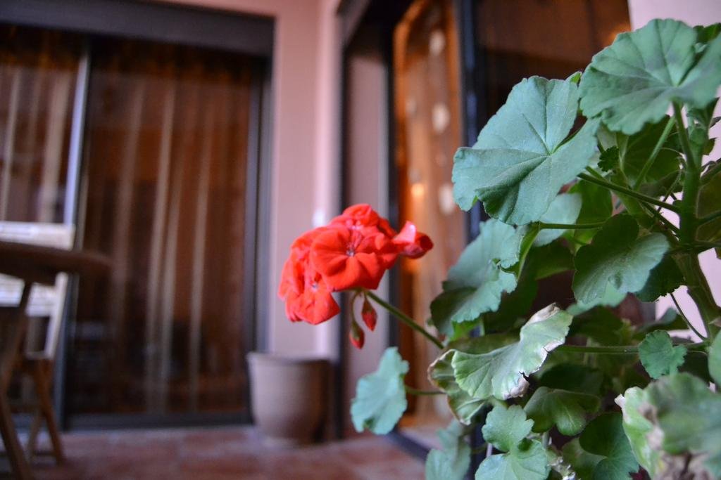 Фото Sabor Appartement Andalous