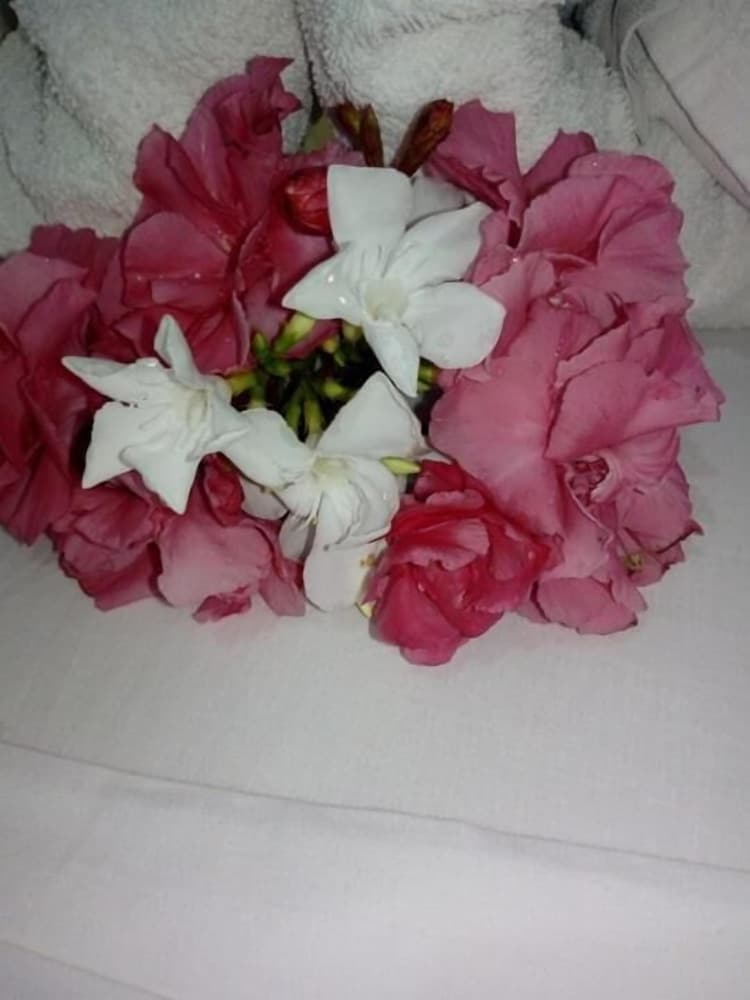 Фото Villa Sandra