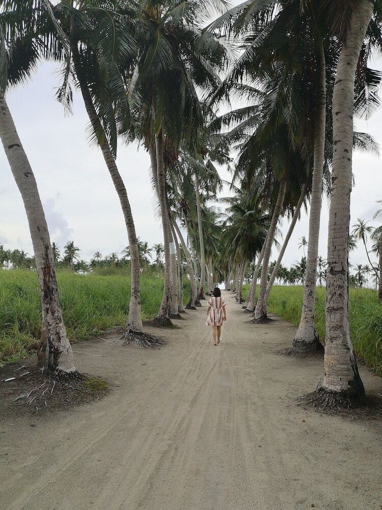 Фото Thila Farm View Guest House