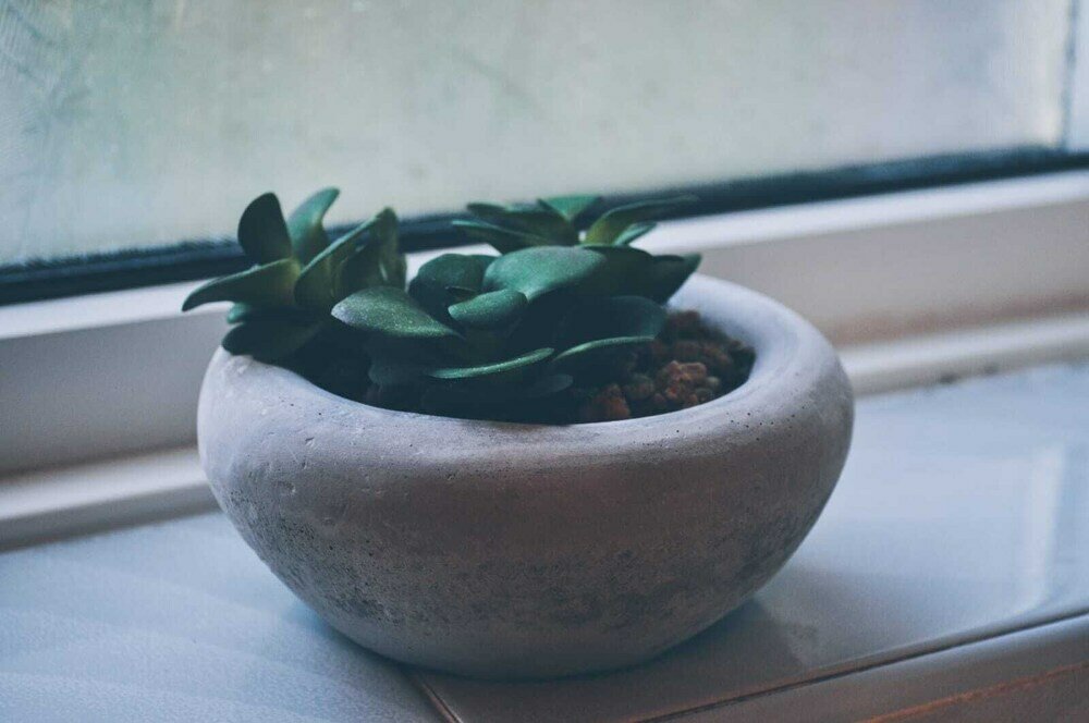 Фото The Windsor Garden Apartment