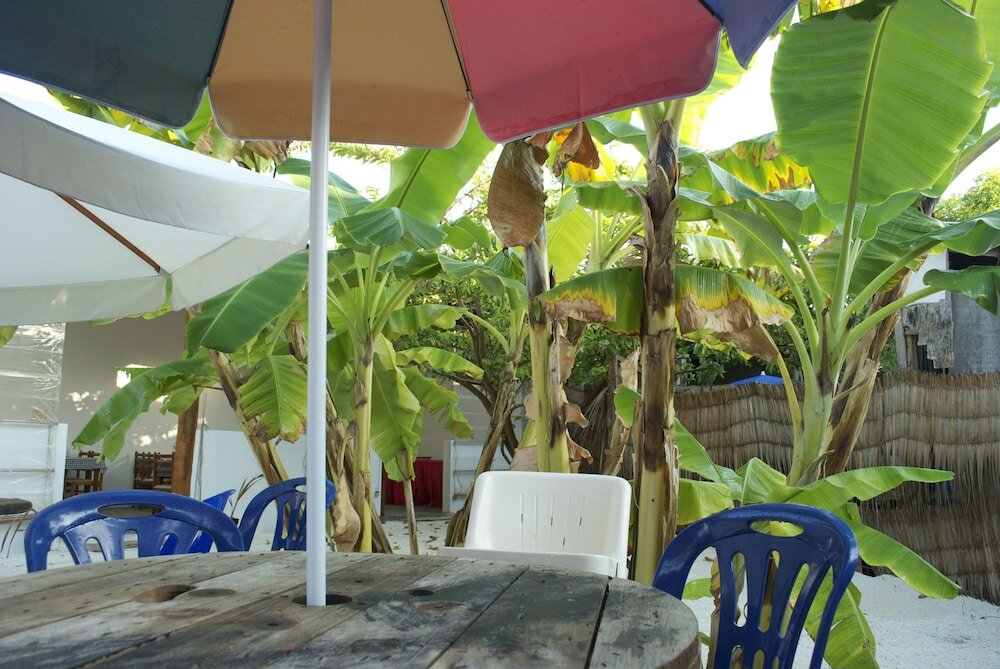 Фото Beach Heaven Maldives - Ocean Vibes Guesthouse