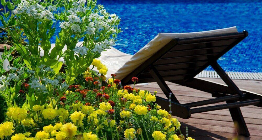 Фото Luxury Apartment in Garden of Eden