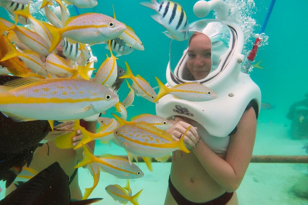 Фото Calabas 33-e