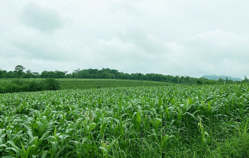 Фото Jardin Residence Pakchong