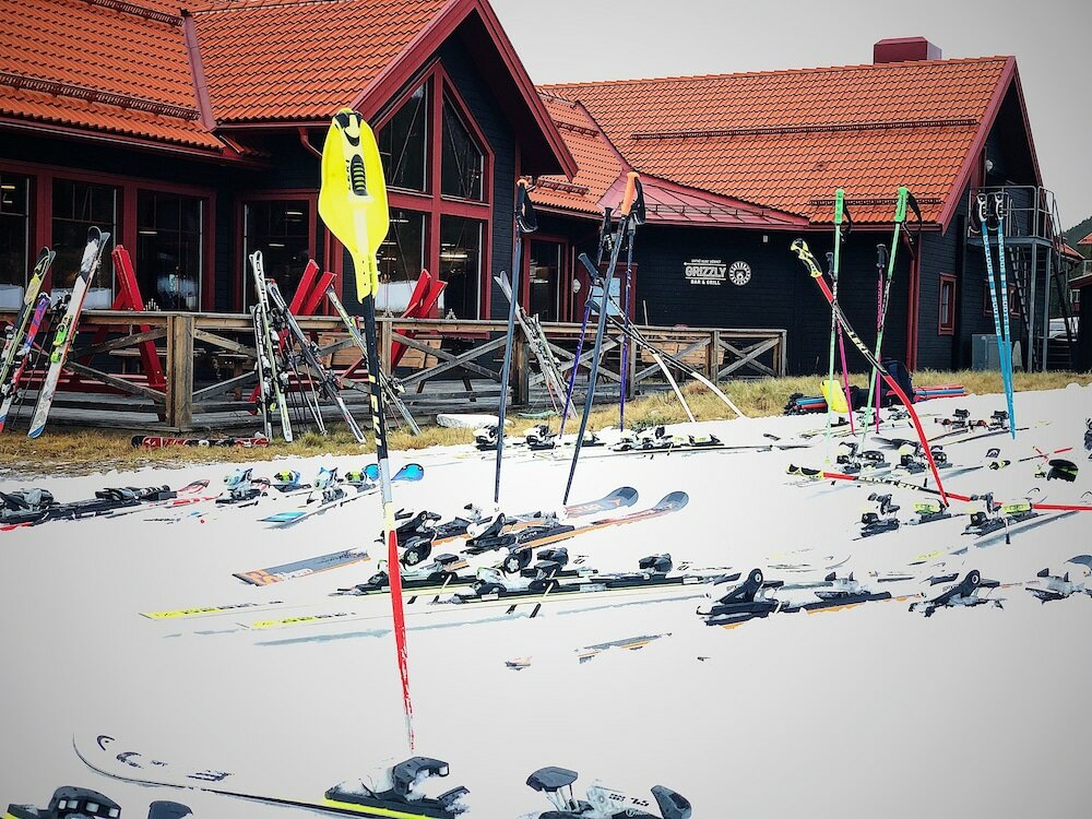 Фото Vildmarks Lodge