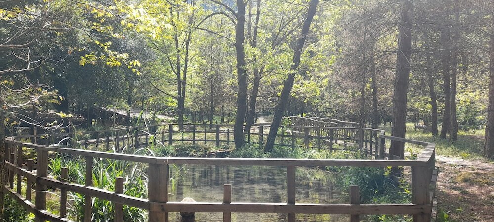 Фото Rifugio Montano