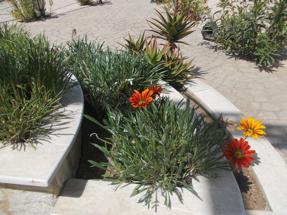 Фото Kalogria Beach Apartments