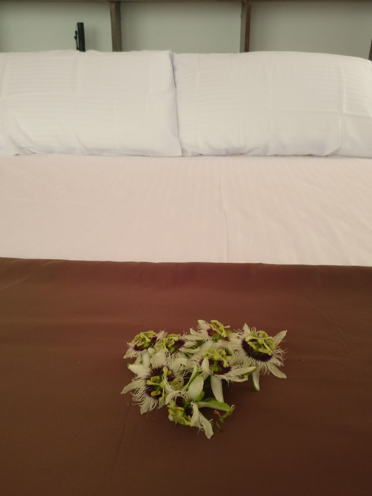 Фото Baivaru Guesthouse Services