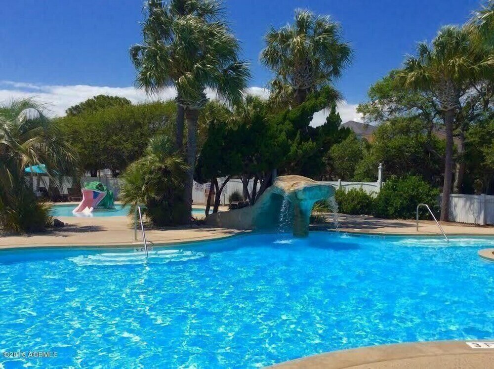 Фото 711 Yellow Perch