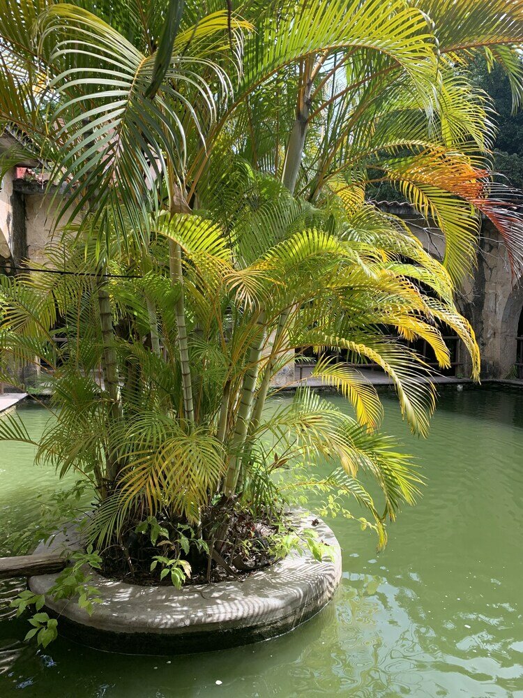 Фото Rancho Agua Salada