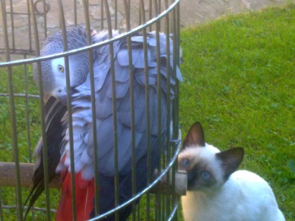 Фото Casas Rurales El Terrero