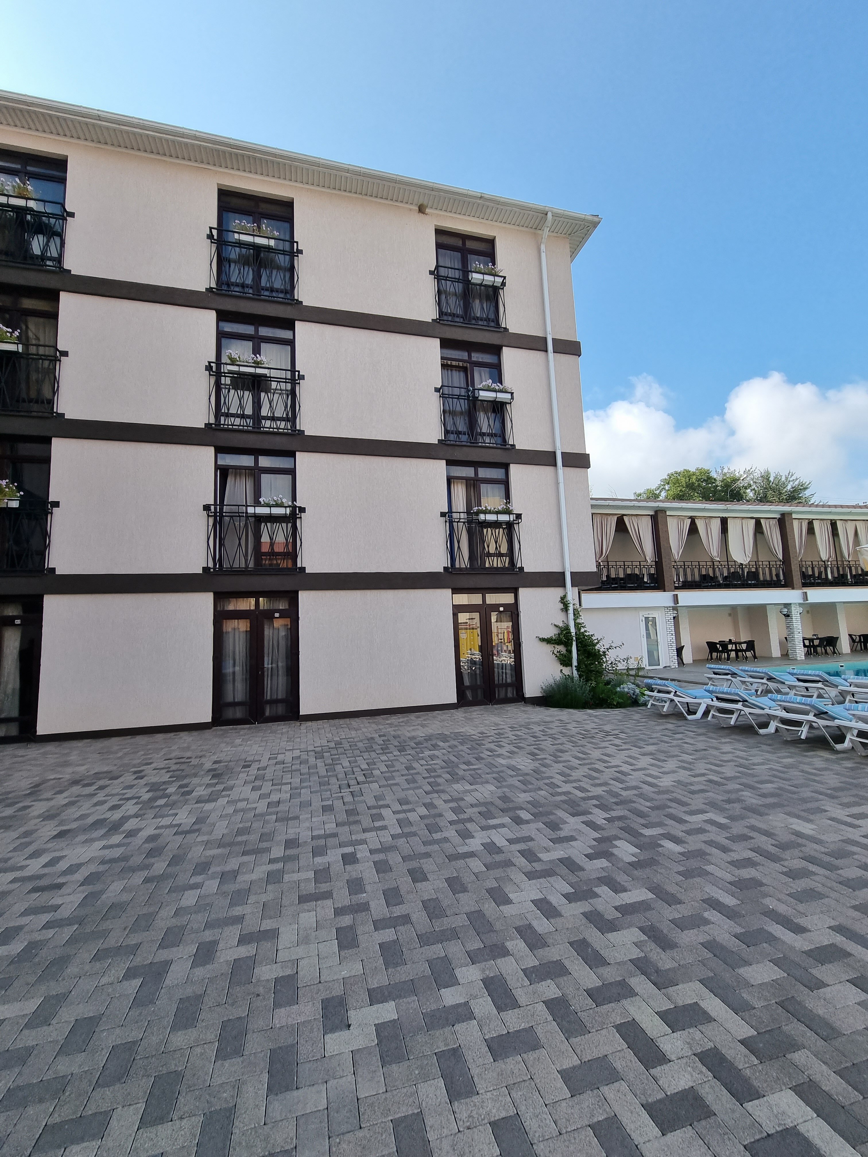 Фото Дельмонт