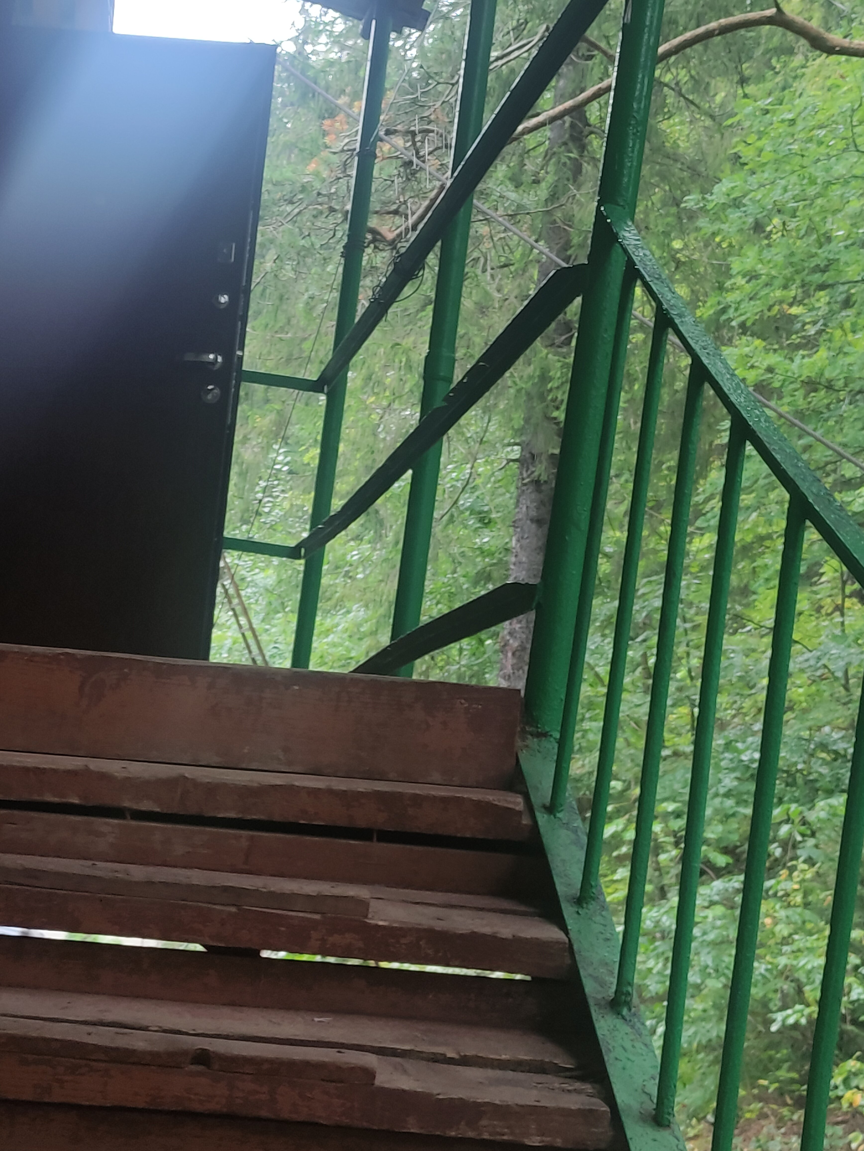 Фото Динамо