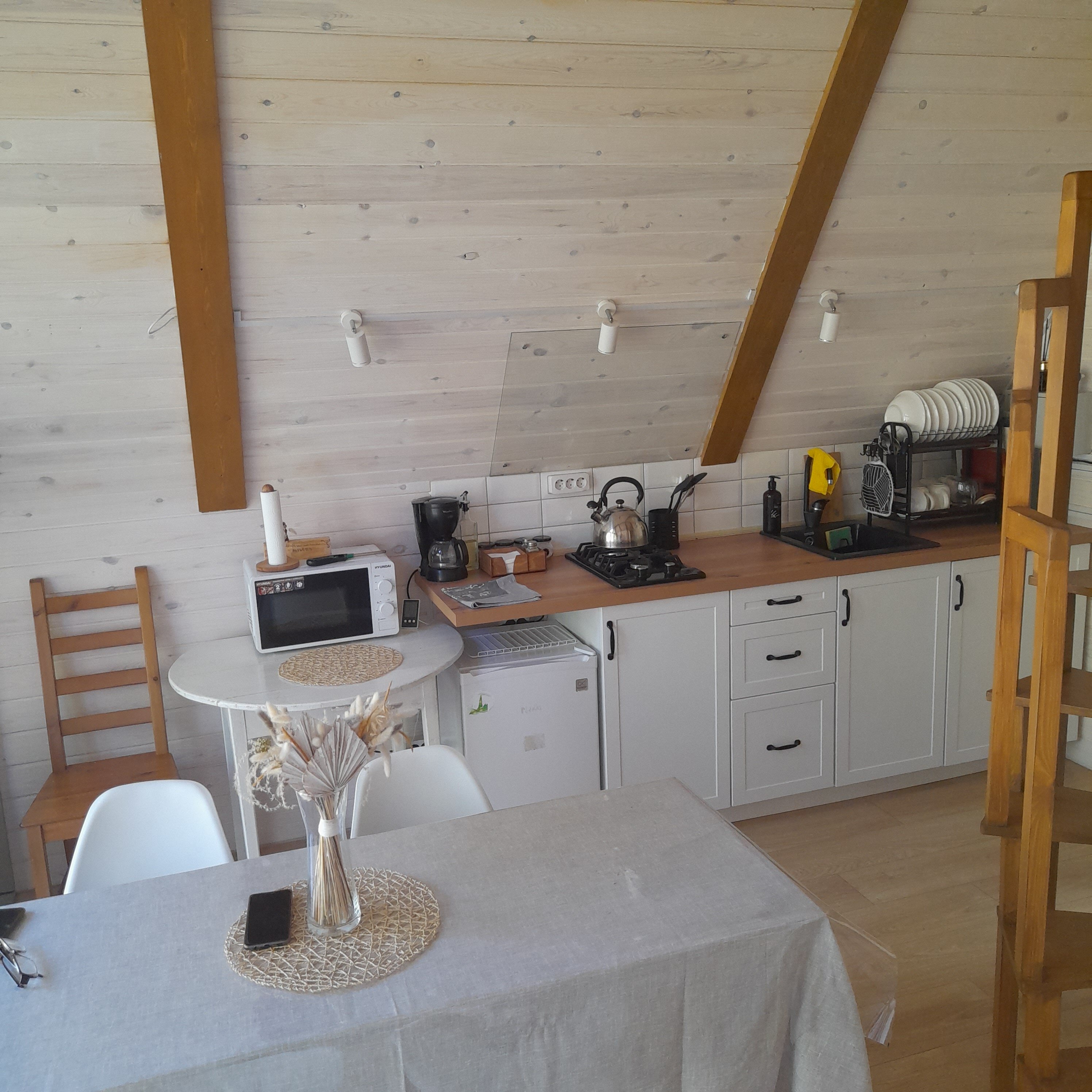 Фото Бурундуки