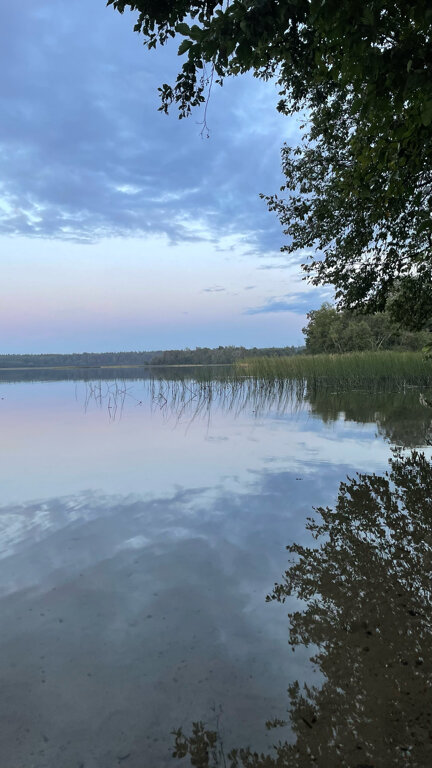 Фото Дом у родника
