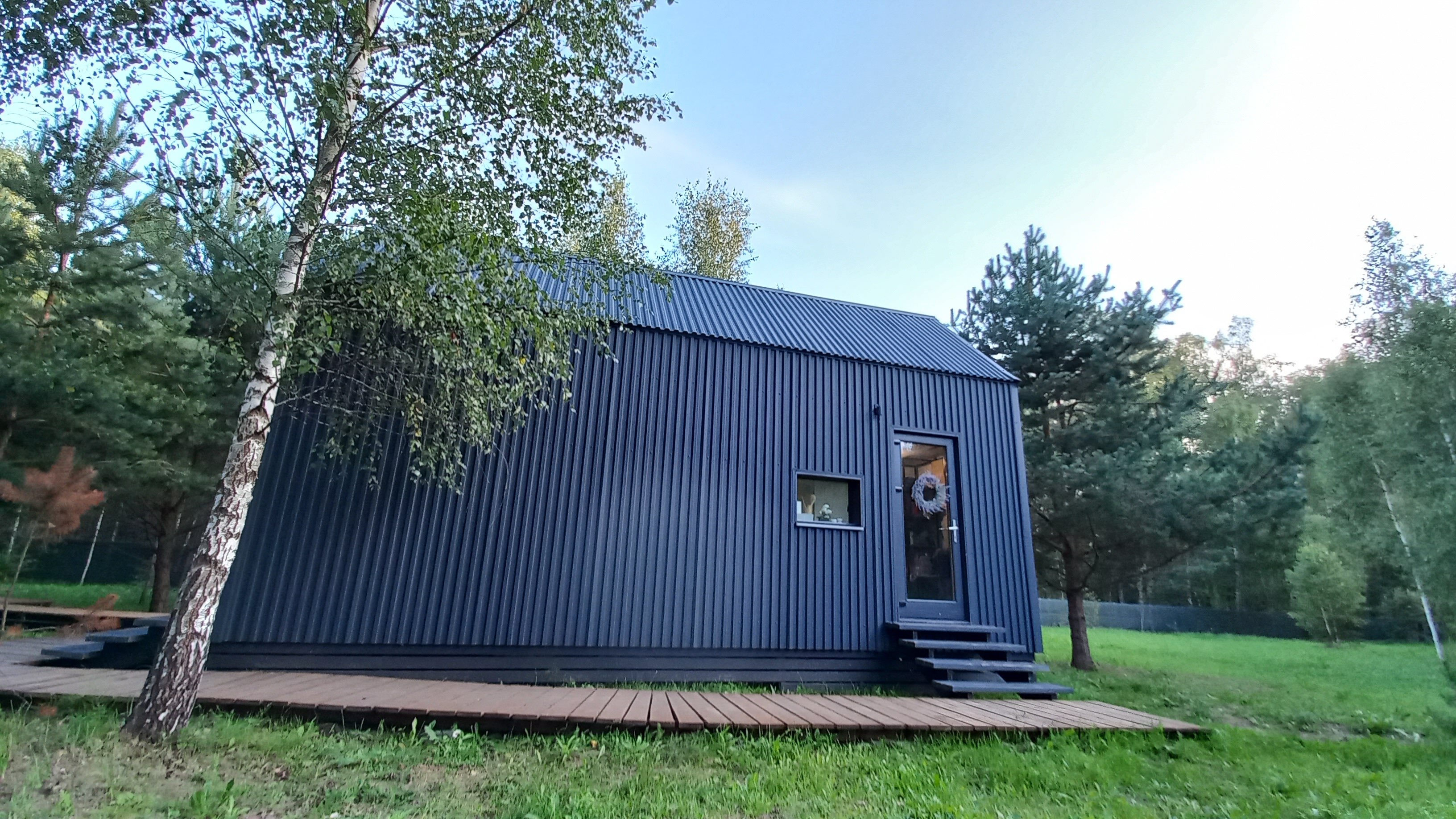 Фото Дыши лесом