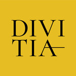 Divitia (Дагестанская ул., 23), школа танцев в Уфе