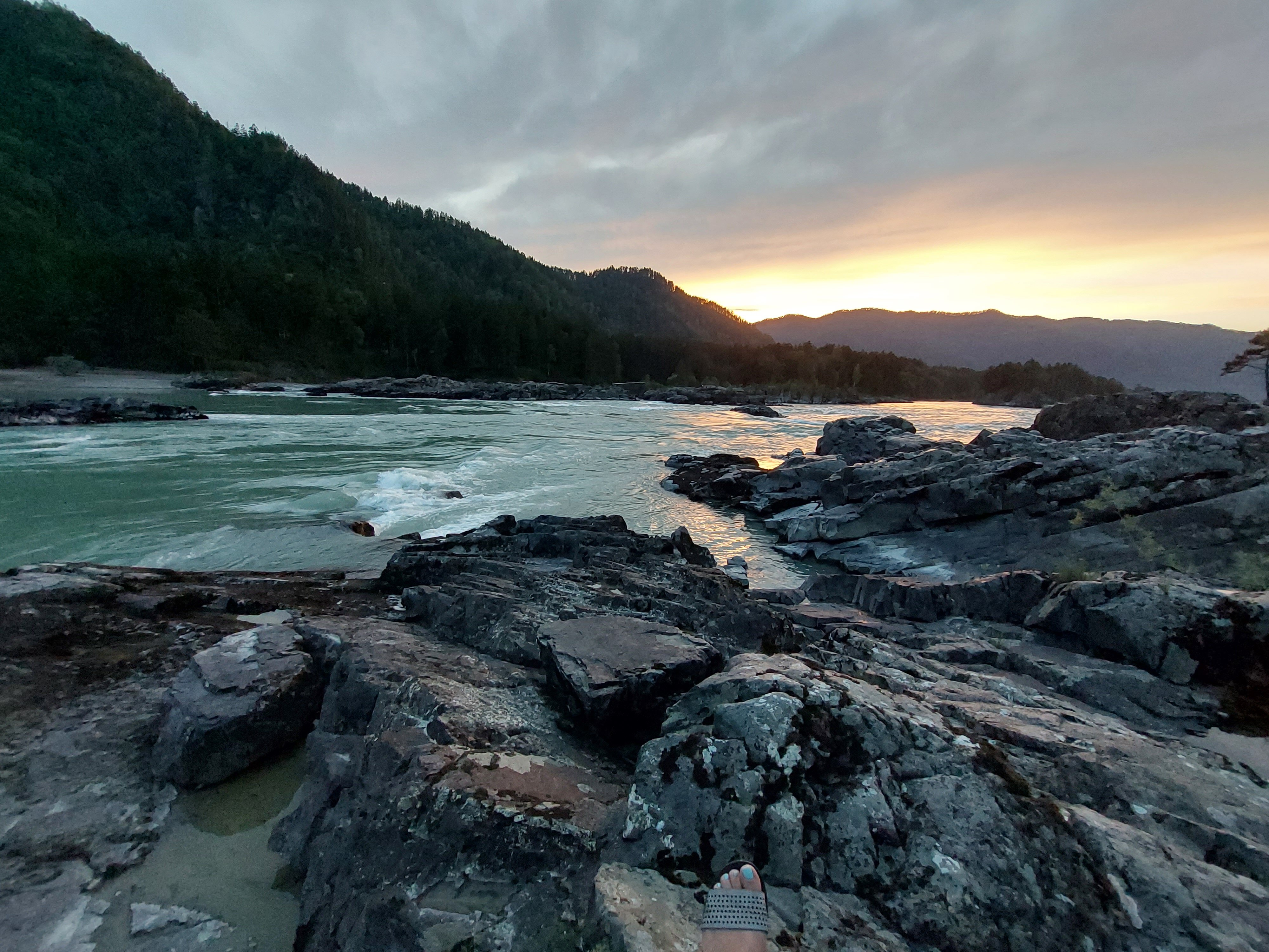 Фото Кедровый остров