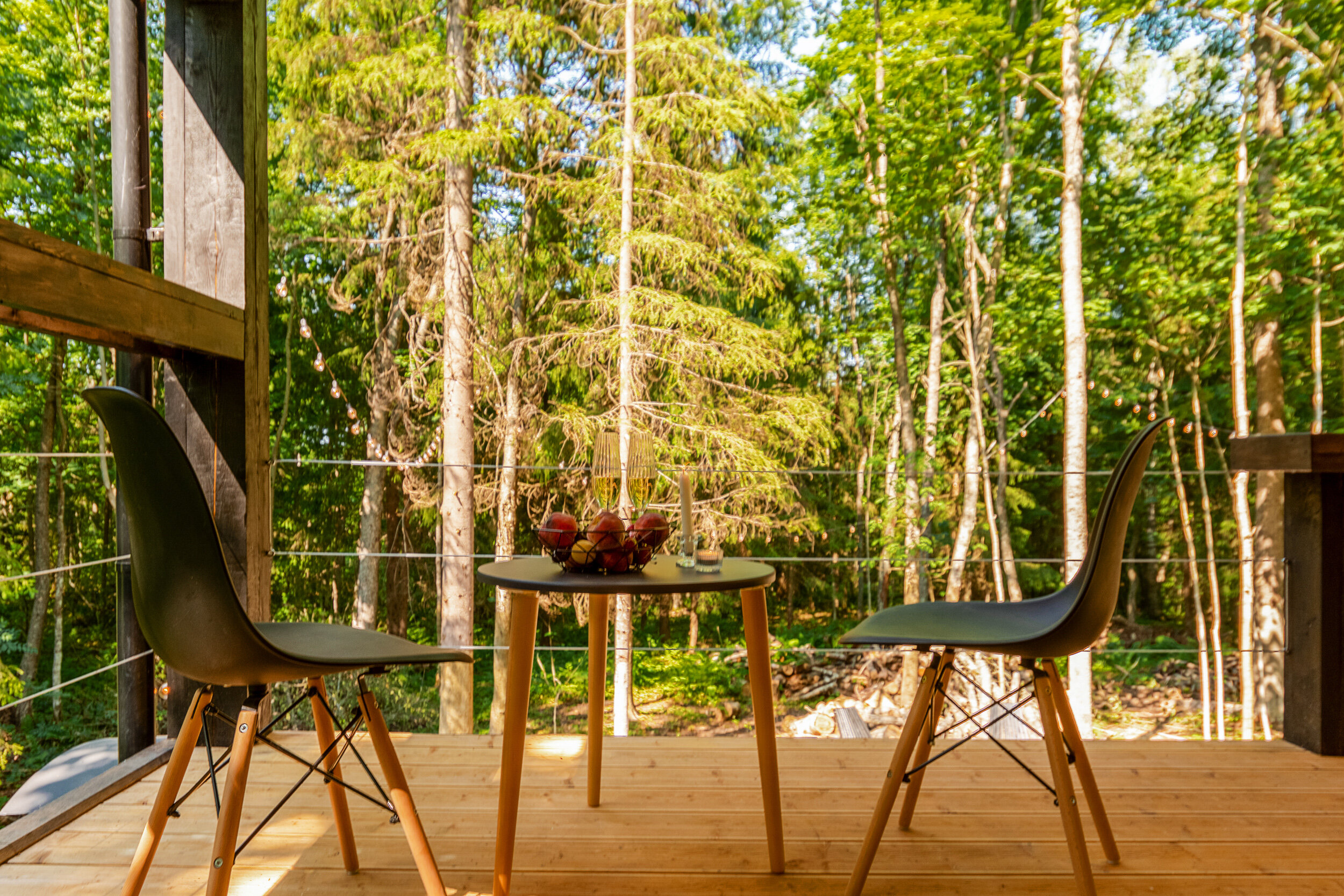 Фото Лес и Гора