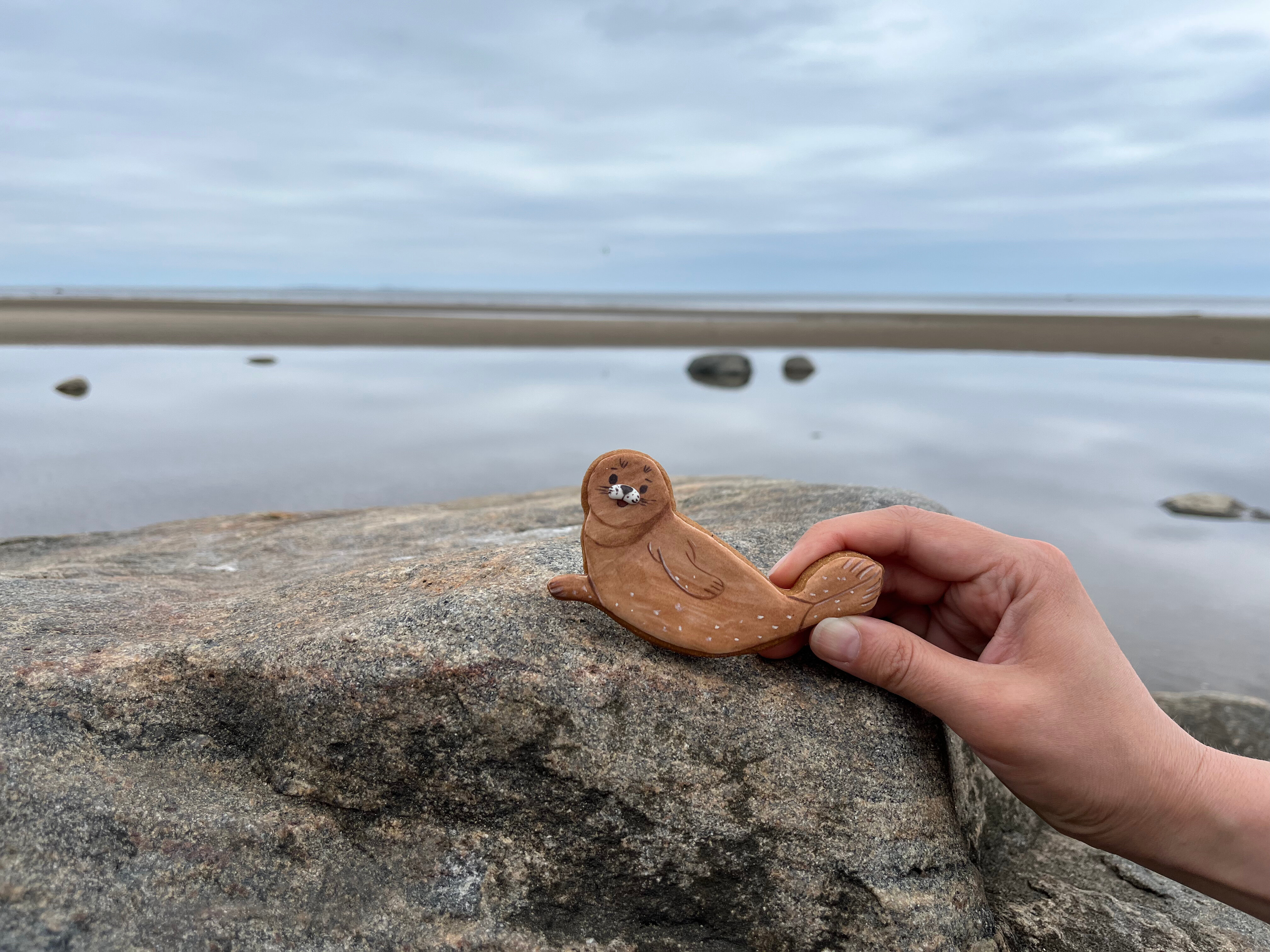 Фото ОнегаStory