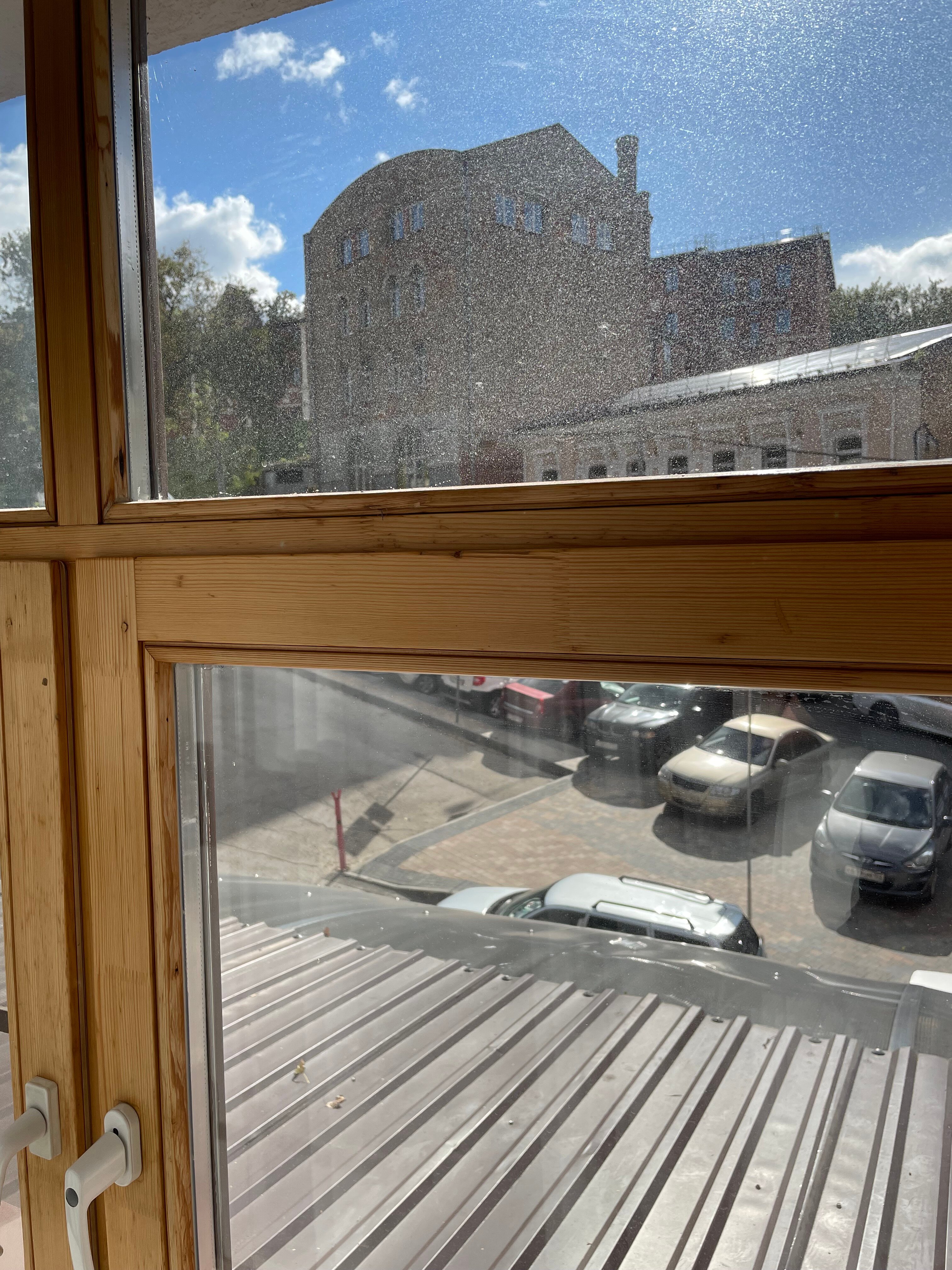 Фото Домино