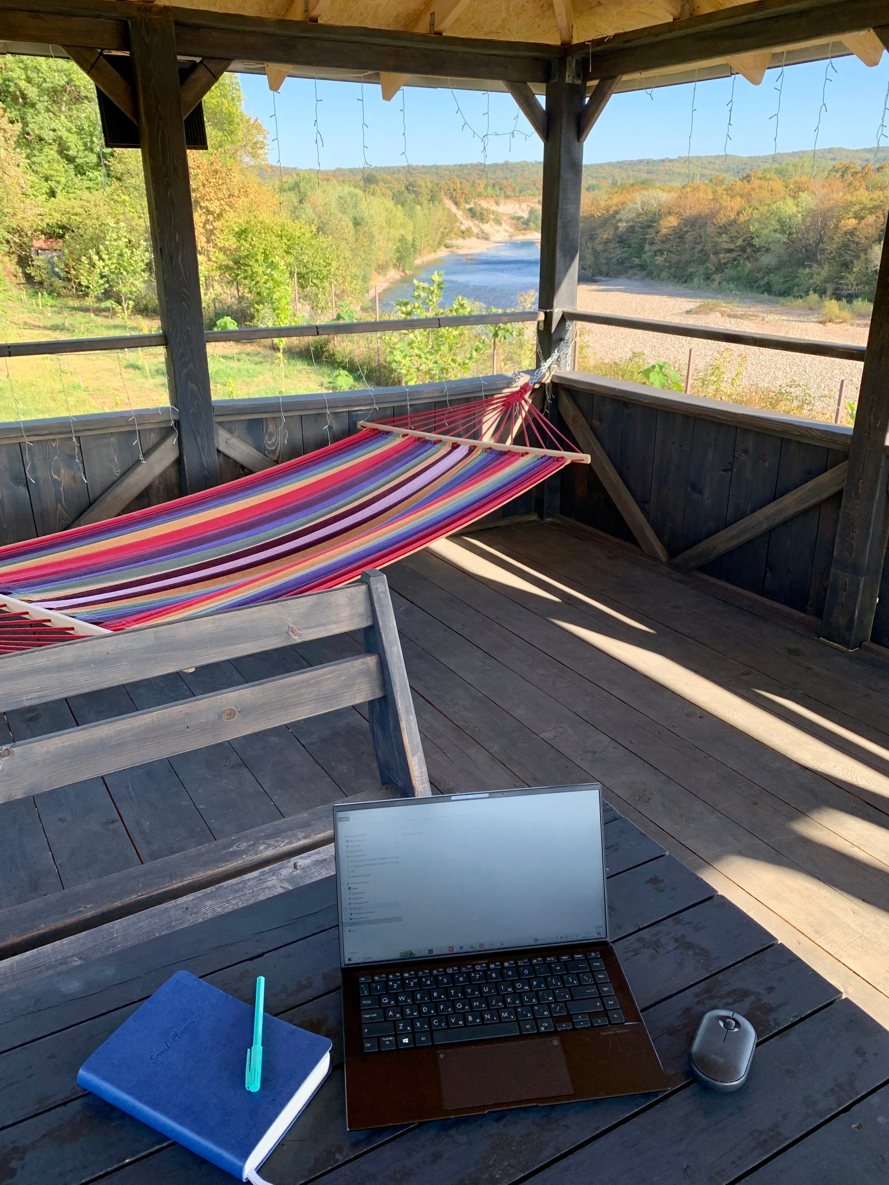 Фото Павлония