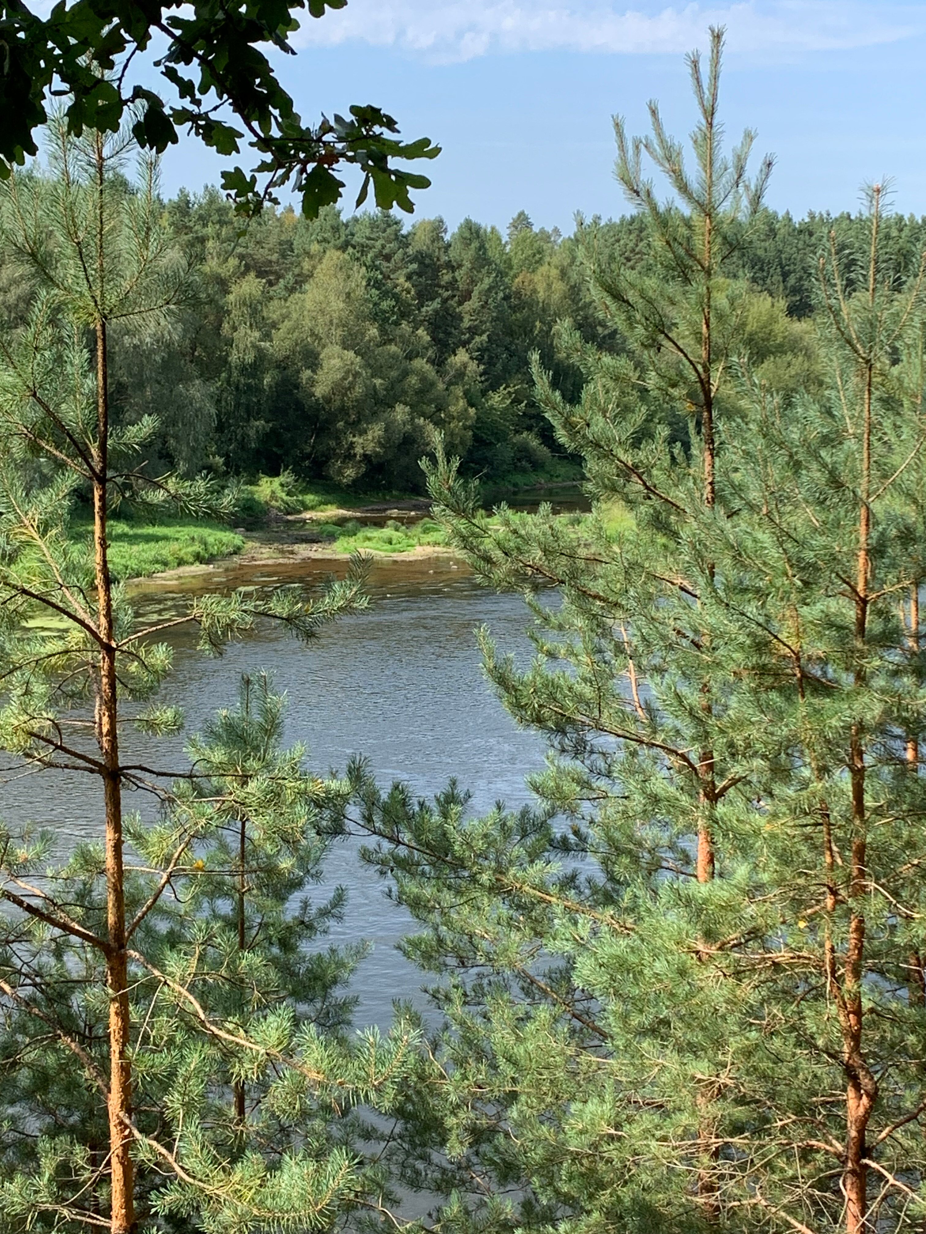 Фото Жемчужина