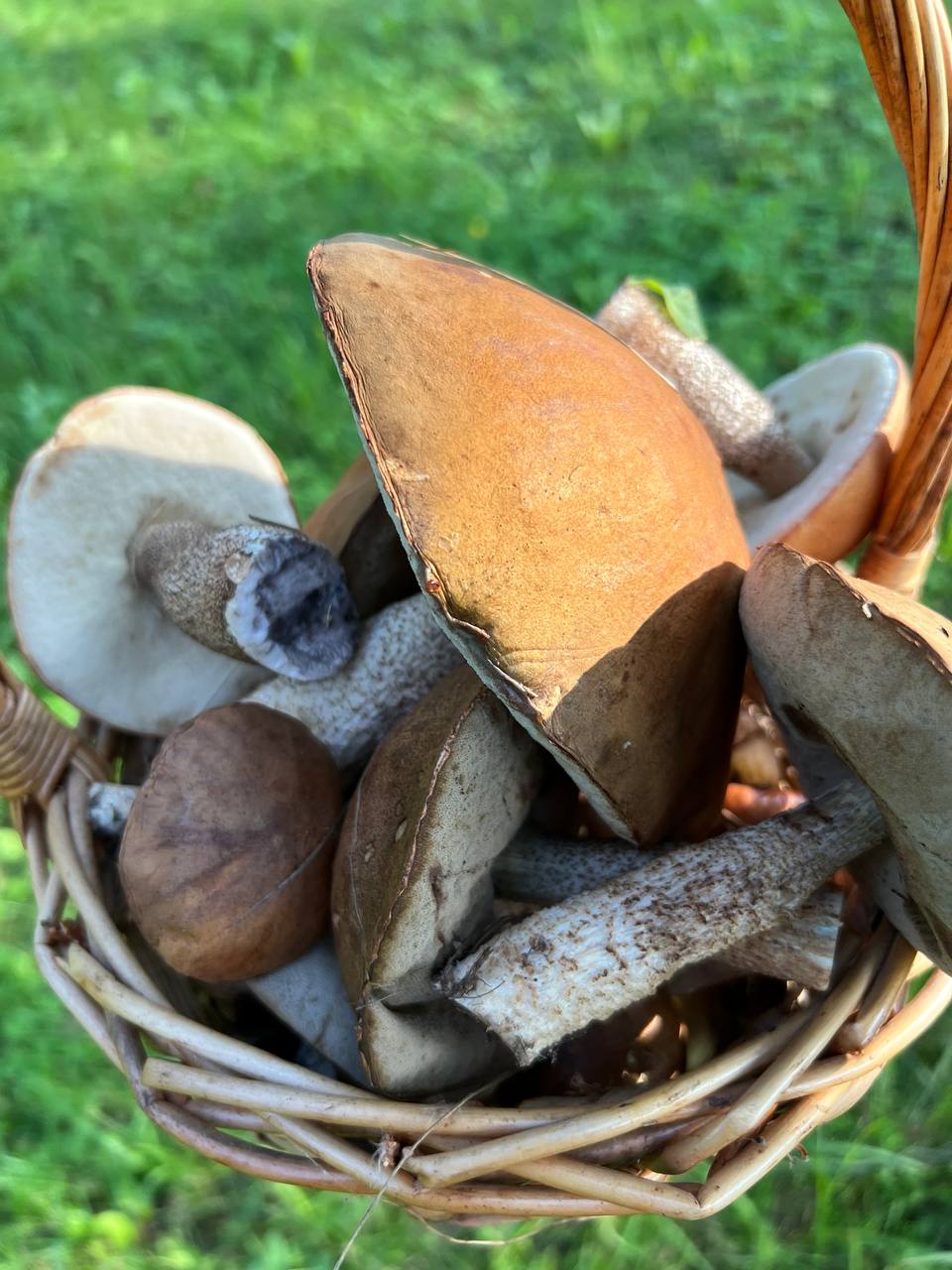 Фото ЭкоУсадьба Архангельская