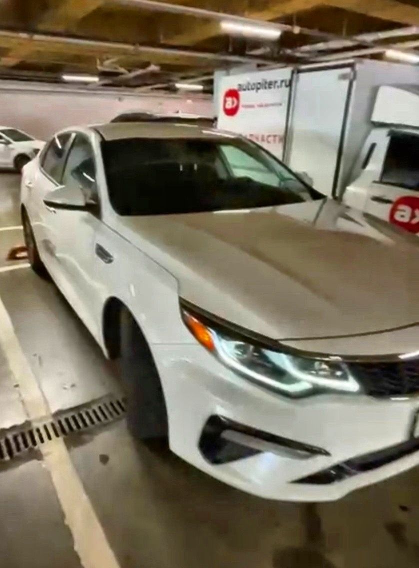 Фото Панда на Бамбуковой