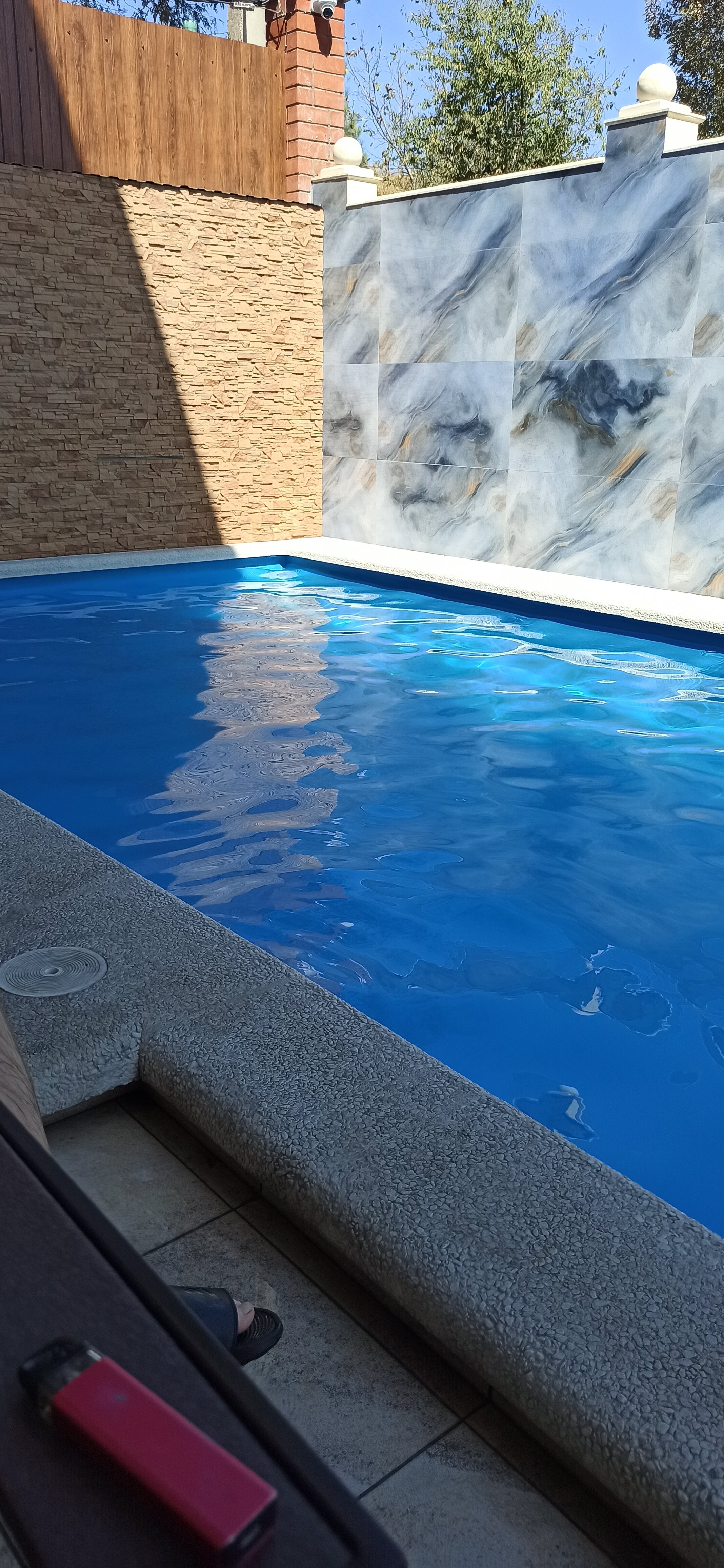 Фото Адонис