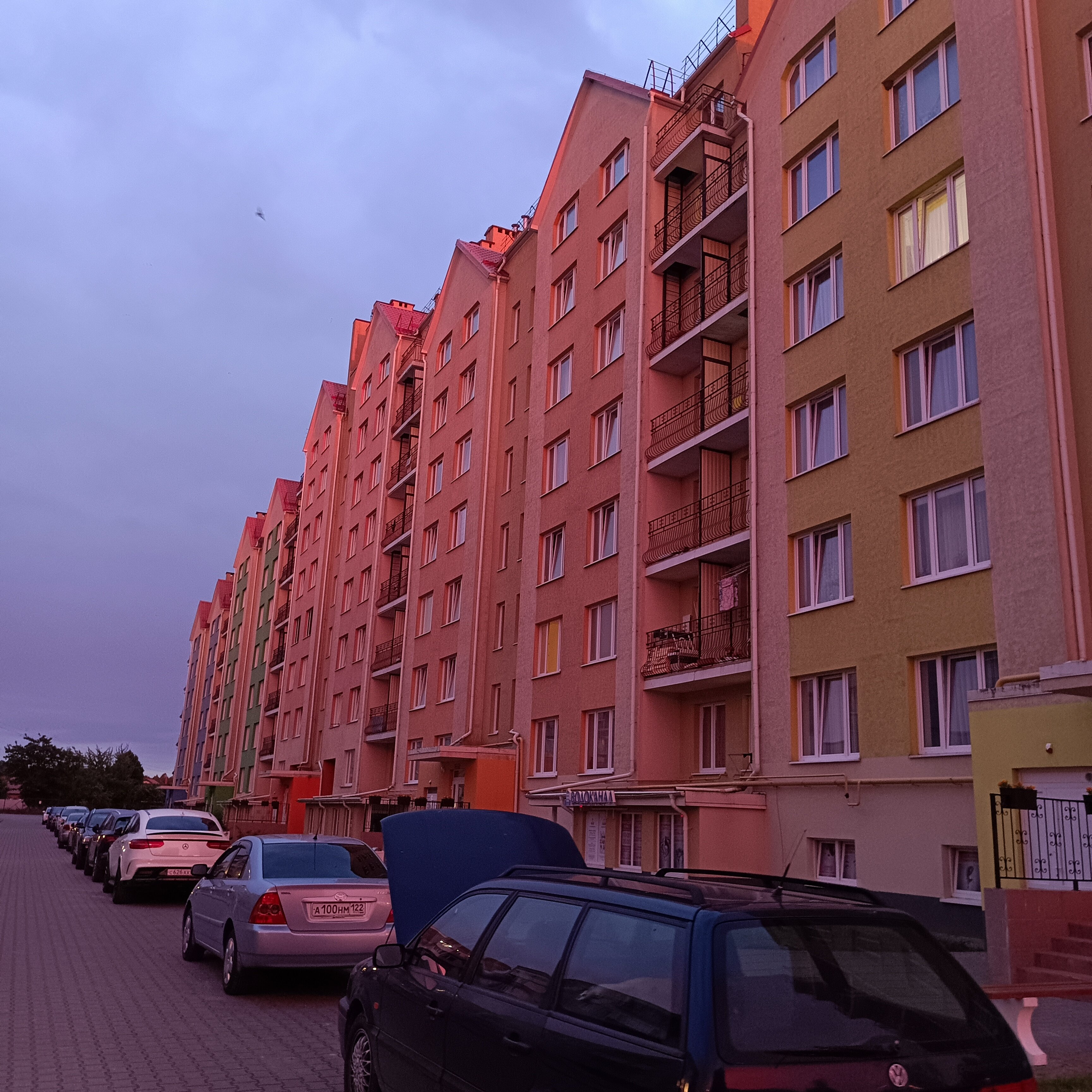 Фото Янтарная Корона