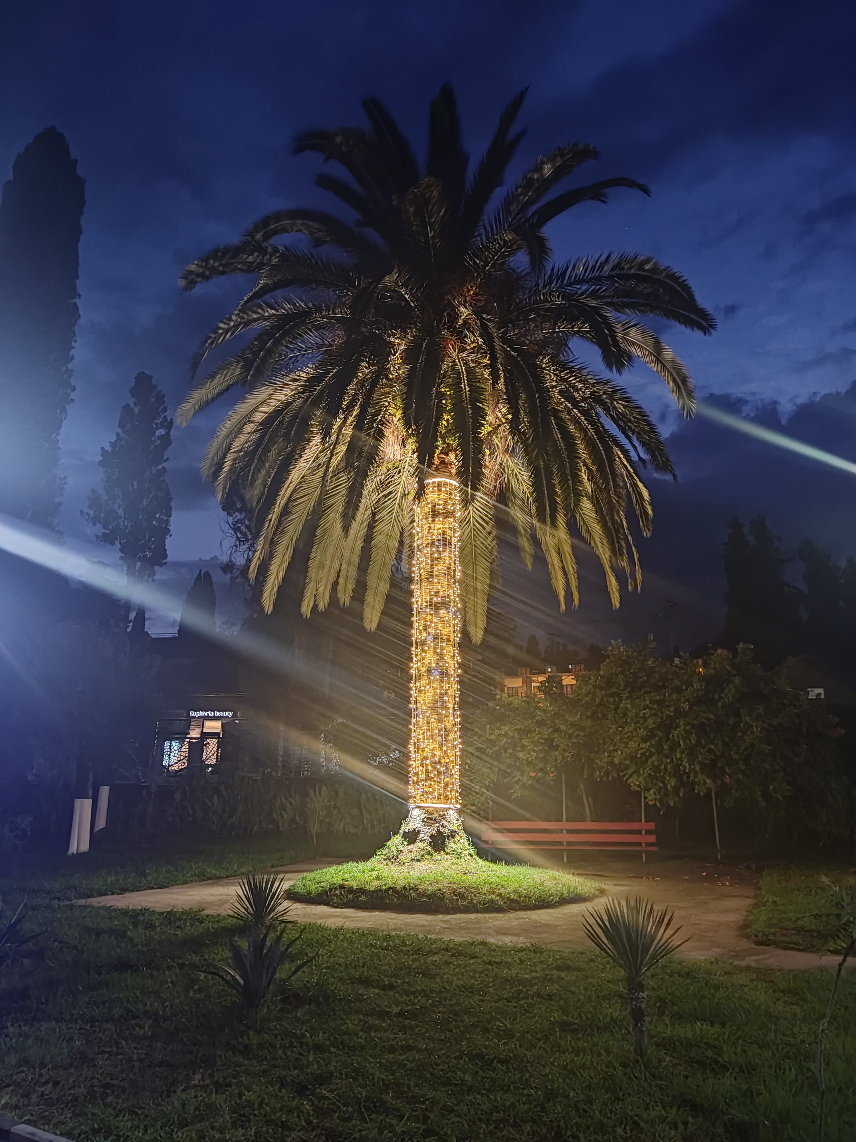 Фото Родина