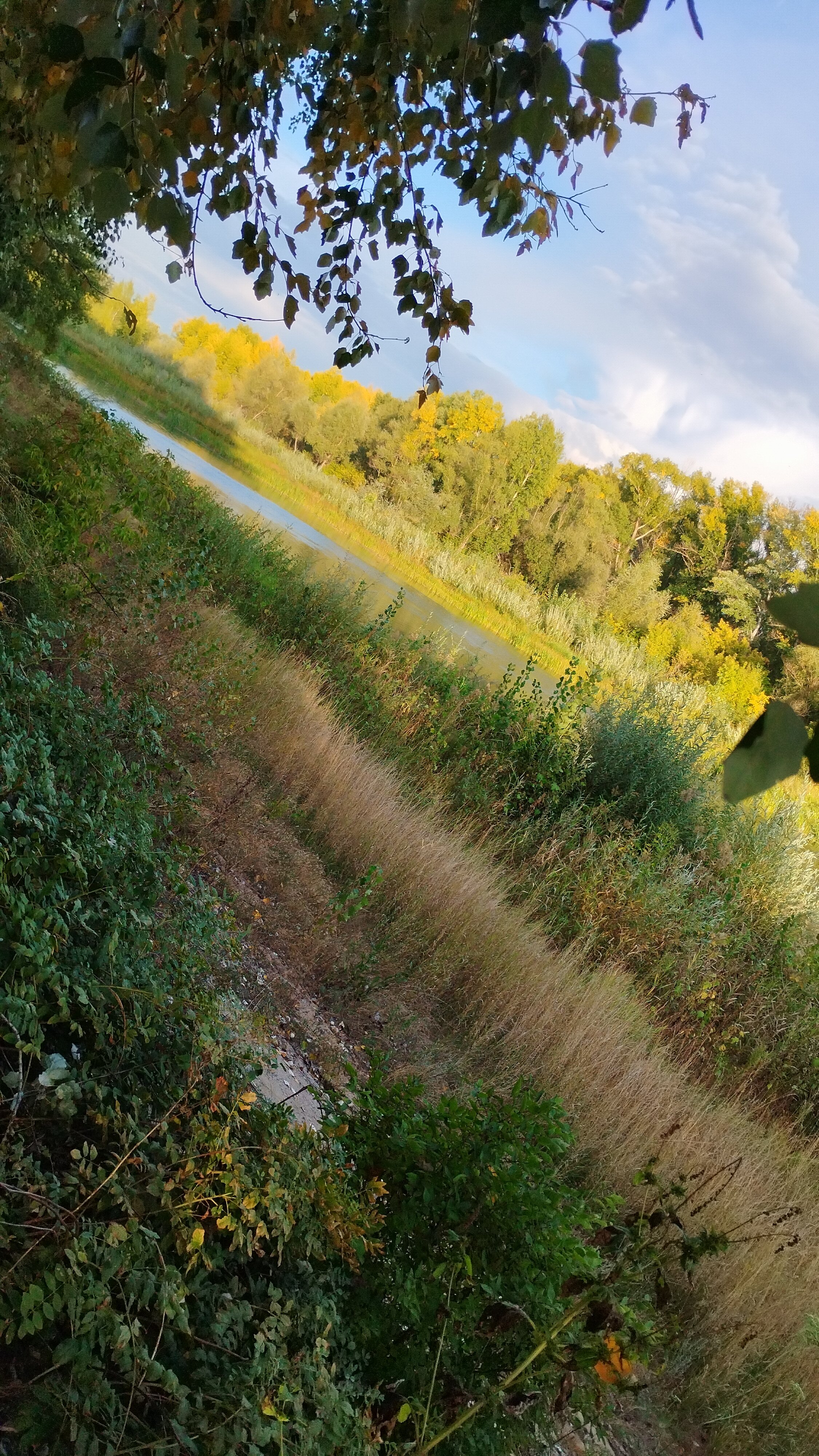 Фото Нежинка