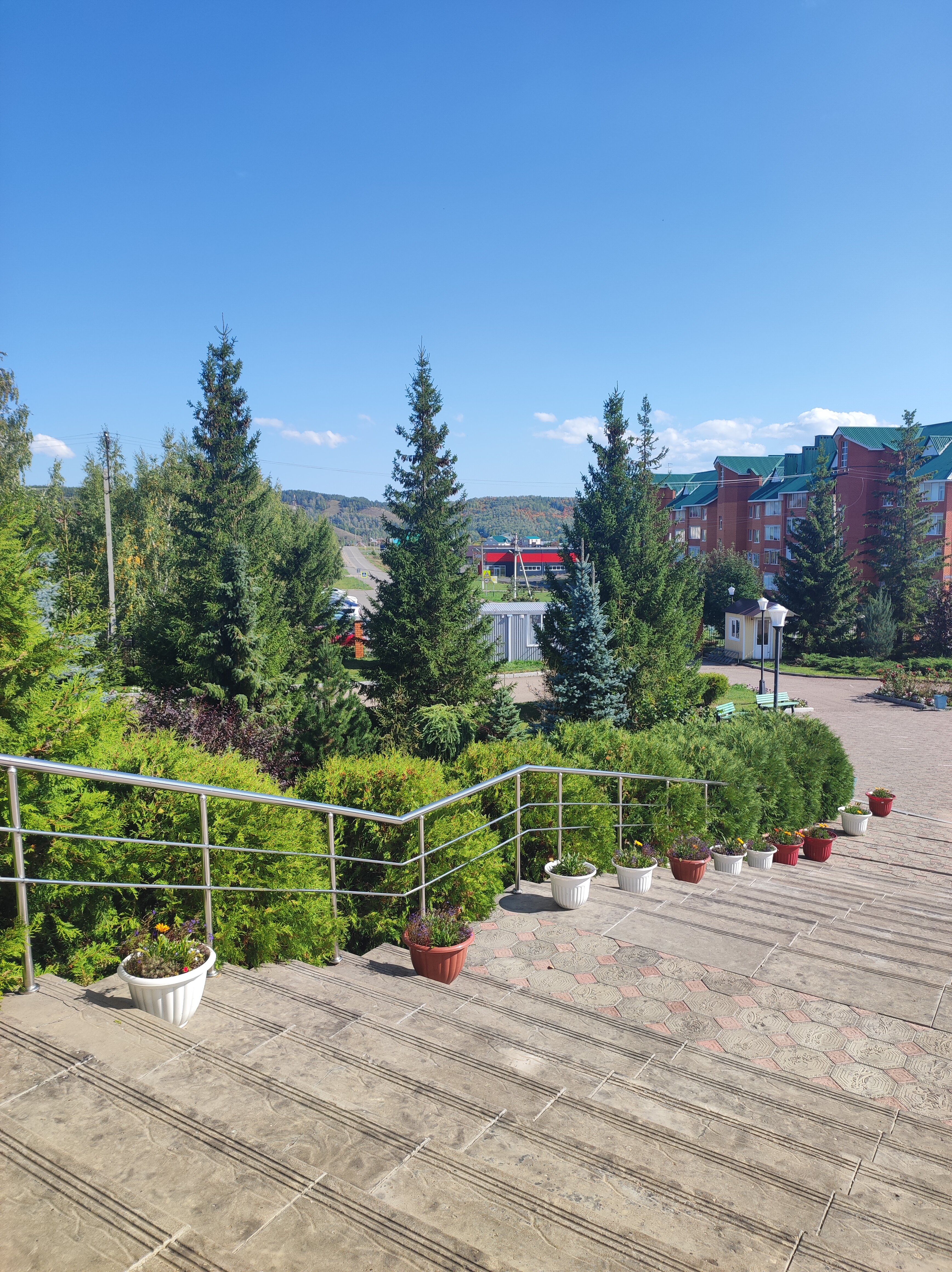 Фото Иволга