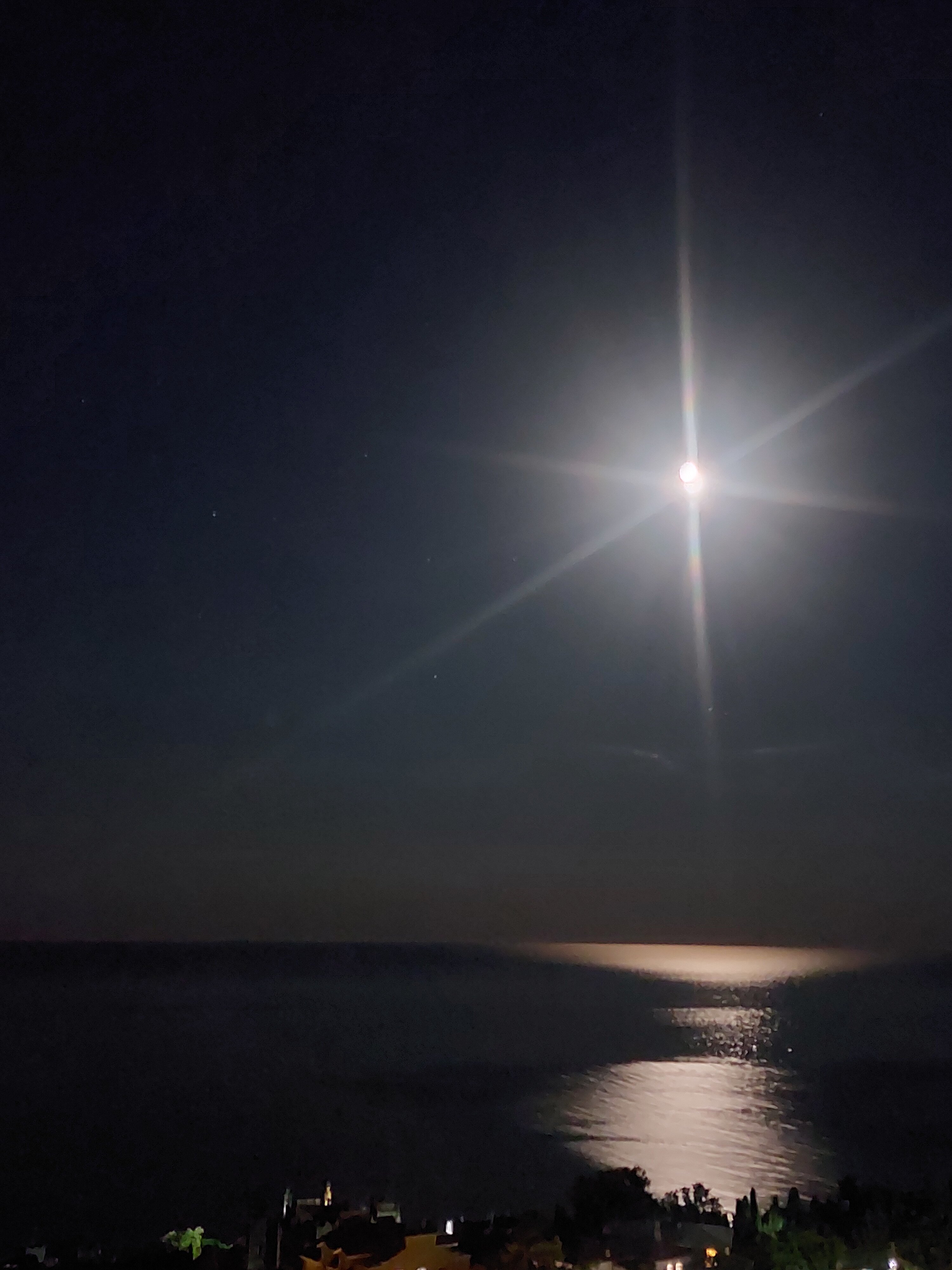 Фото Алубика