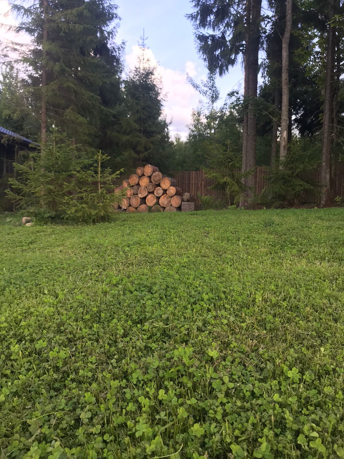 Фото На Венере у Игоры