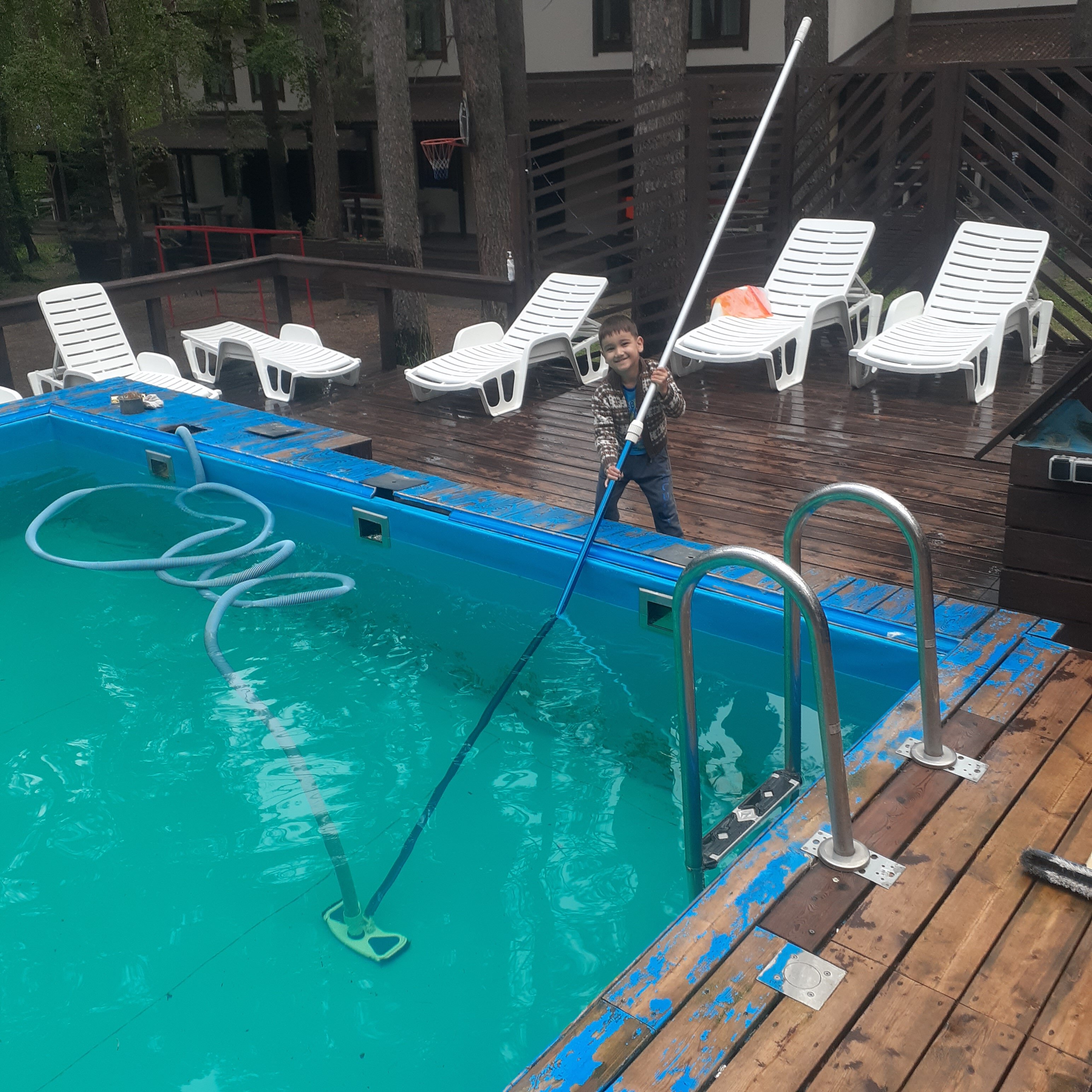 Фото Брусника