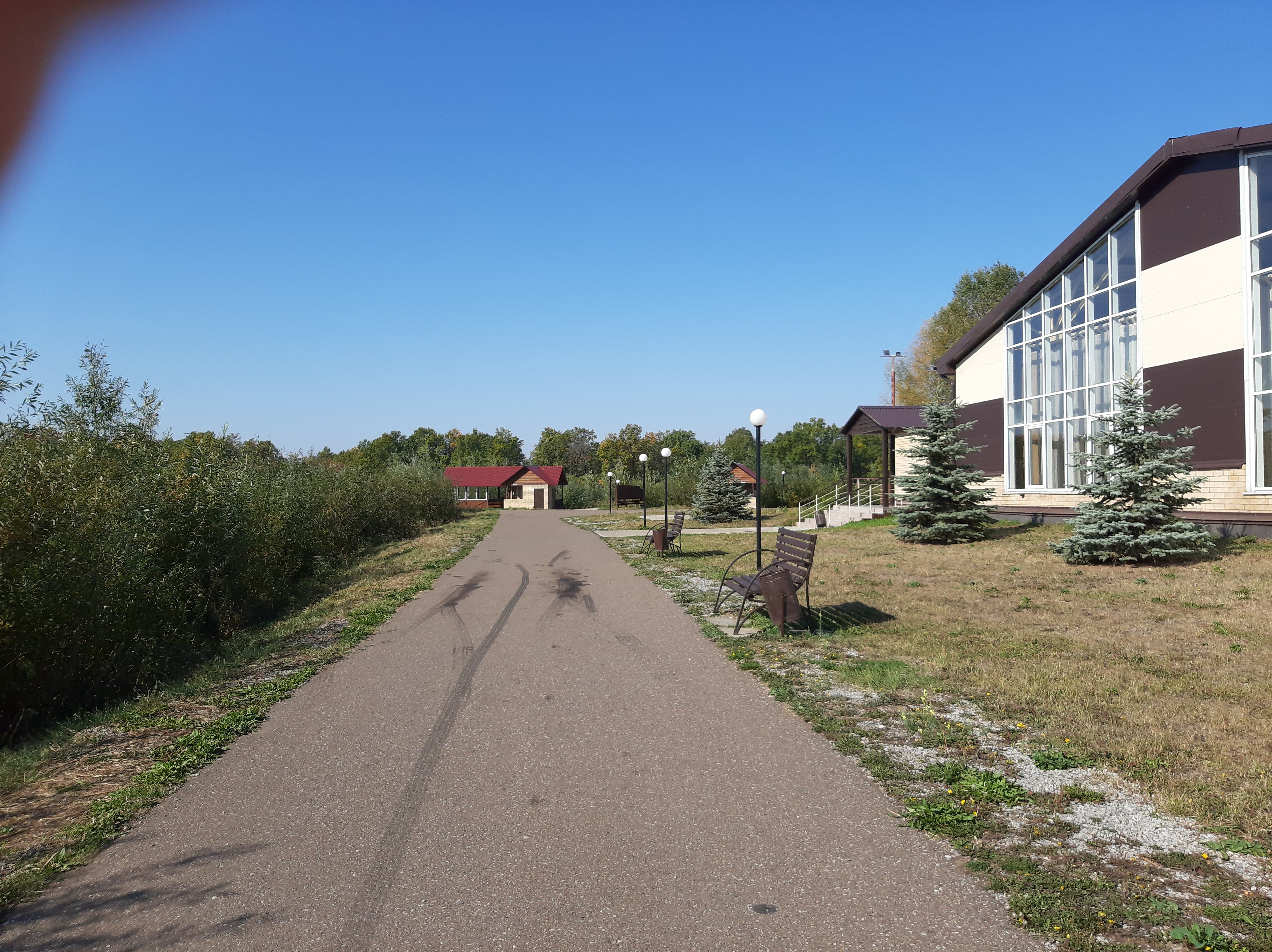 Фото Лесной